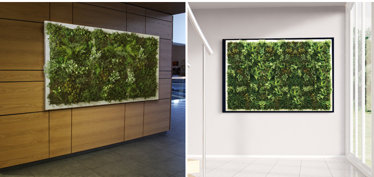 Green Wall | Livingreen Design