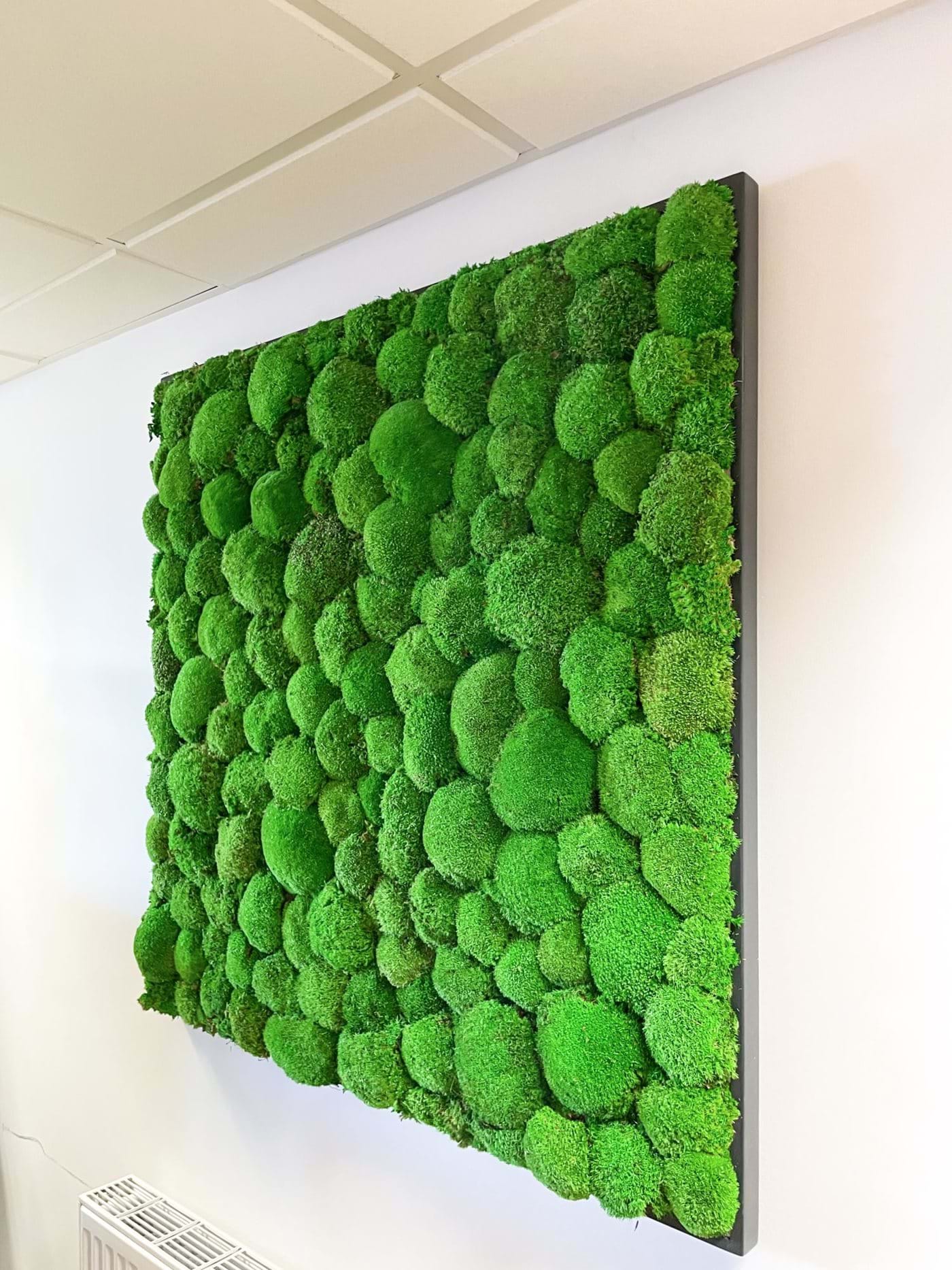 Extra Large Natural Dried Moss Wall Art Wall Moss Decor Moss Wall Art Decor  With Led Aesthetic Room Decor Preserved Moss Wall Art 