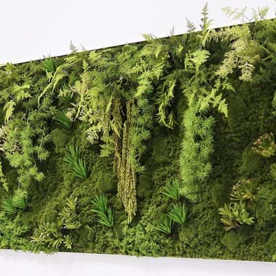 Mixed Moss Wall Art