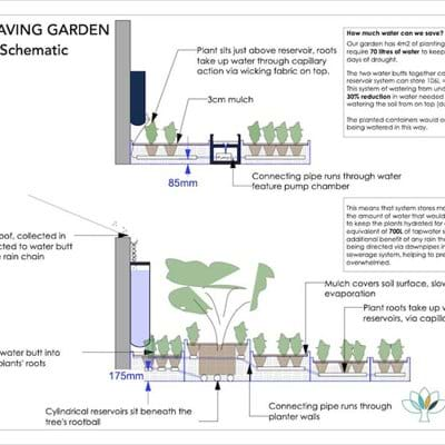 Water Saving Garden