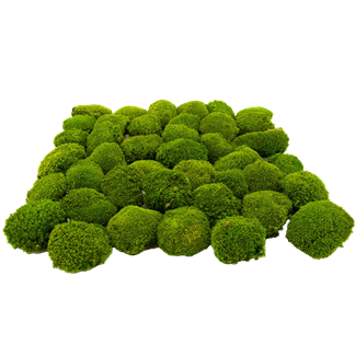 Mini Ball Moss