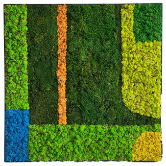 Colour Moss Frame