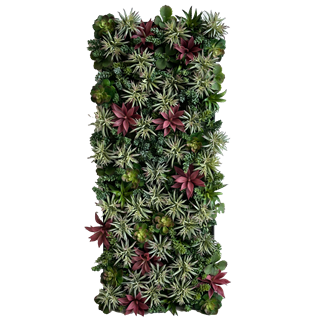 Succulent Moss Frame